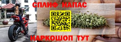 тгк Ставрополь