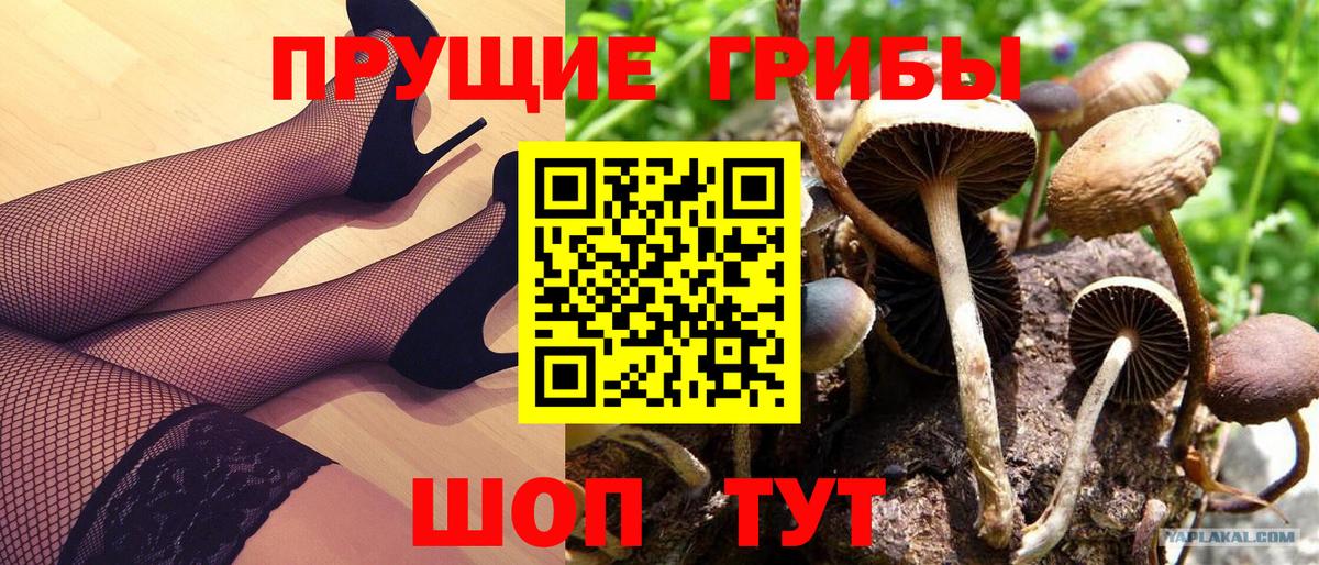 Псилоцибиновые грибы Magic Shrooms  Вход с VPN  Псилоцибиновые грибы мухоморы  Белебей 